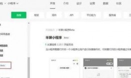 小程序最新独门爆料,颠覆传统，创新无限