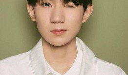 王源爆料贴吧最新消息网,揭秘娱乐圈幕后真相！”